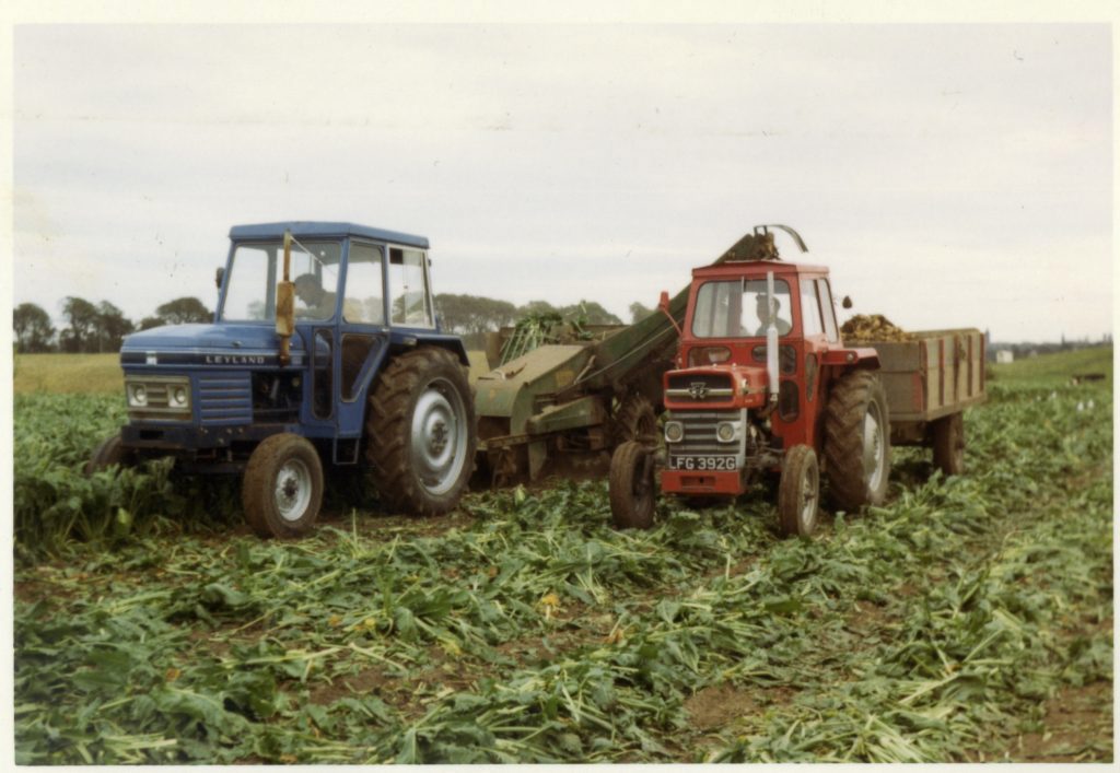2026 Cupar Heritage 3