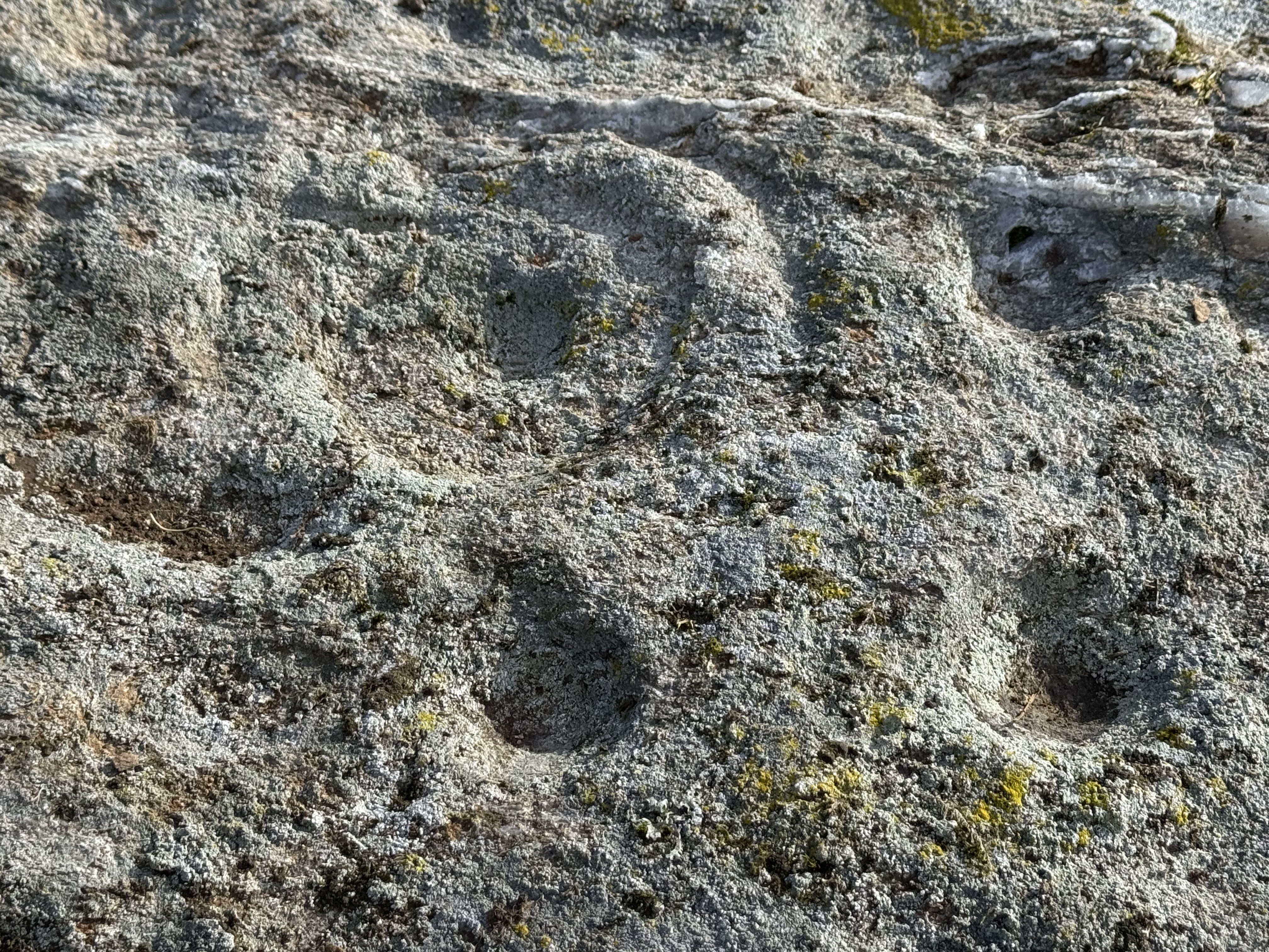 Rock Art Sandra Davison