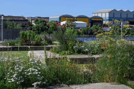 Picture of Clydeside Garden