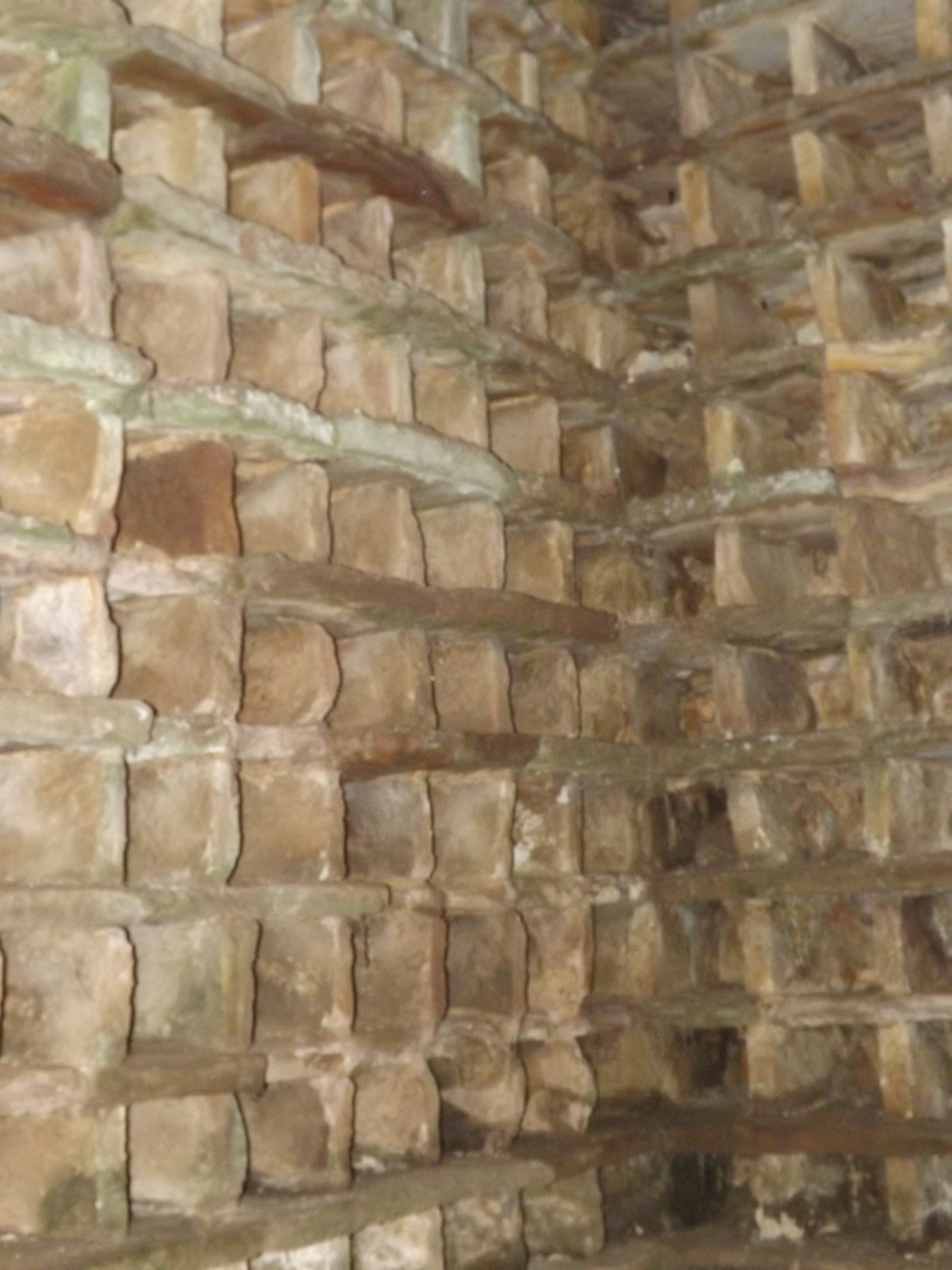 2024 ~ Boarhills Doocot 3