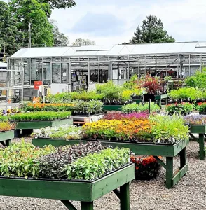 Picture of City of Edinburgh Council, Inch Plant Nursery