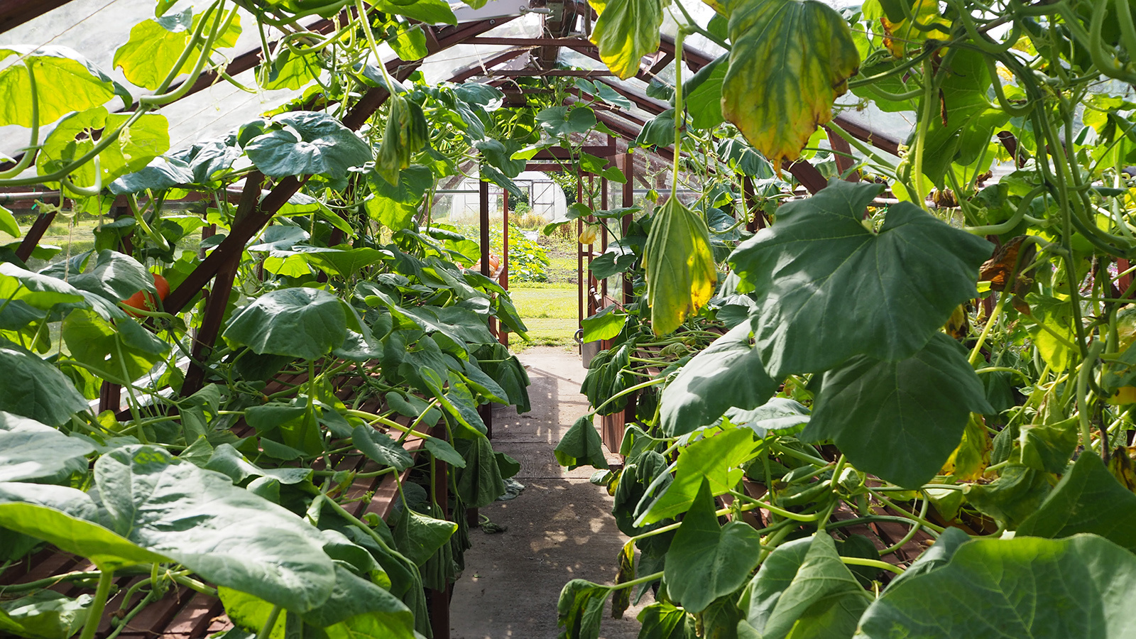 KM Beannachar Camphill Community Garden