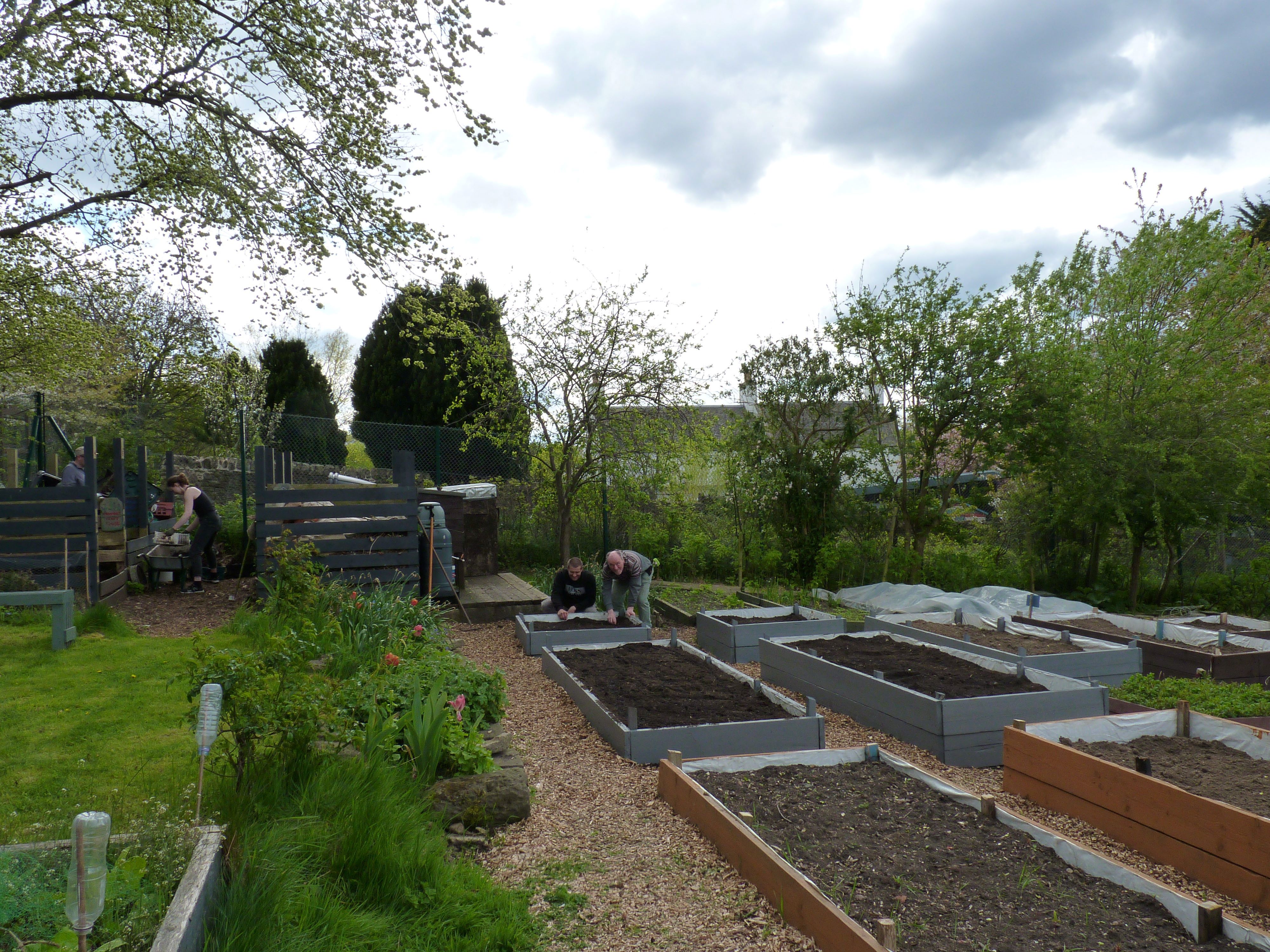 Bridgend Allotments John Knox
