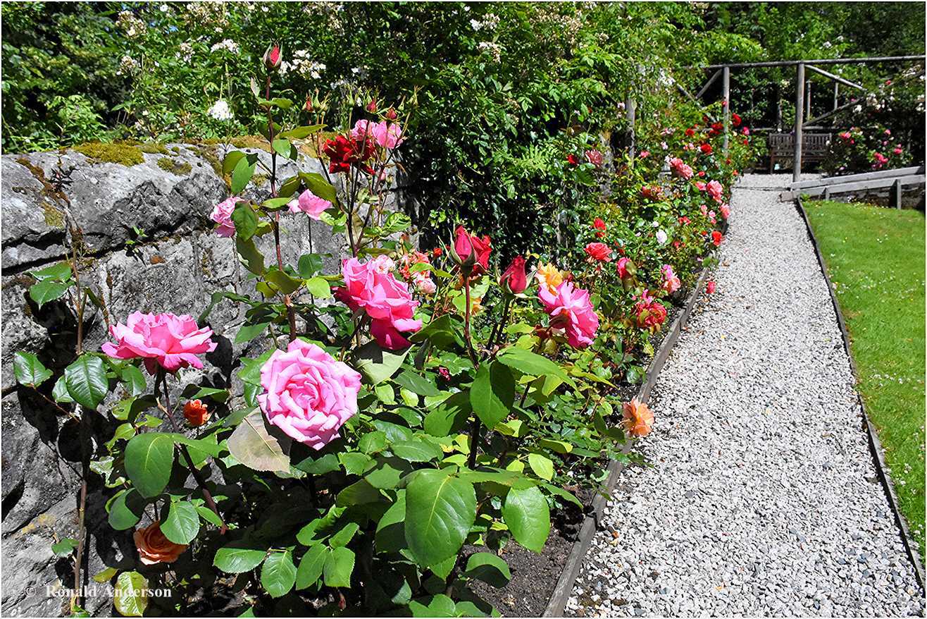 Rosegarden17 Openday2025