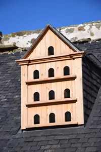 Picture of Boarhills Doocot