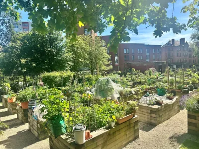 Picture of Greyfriars Biophilic Garden