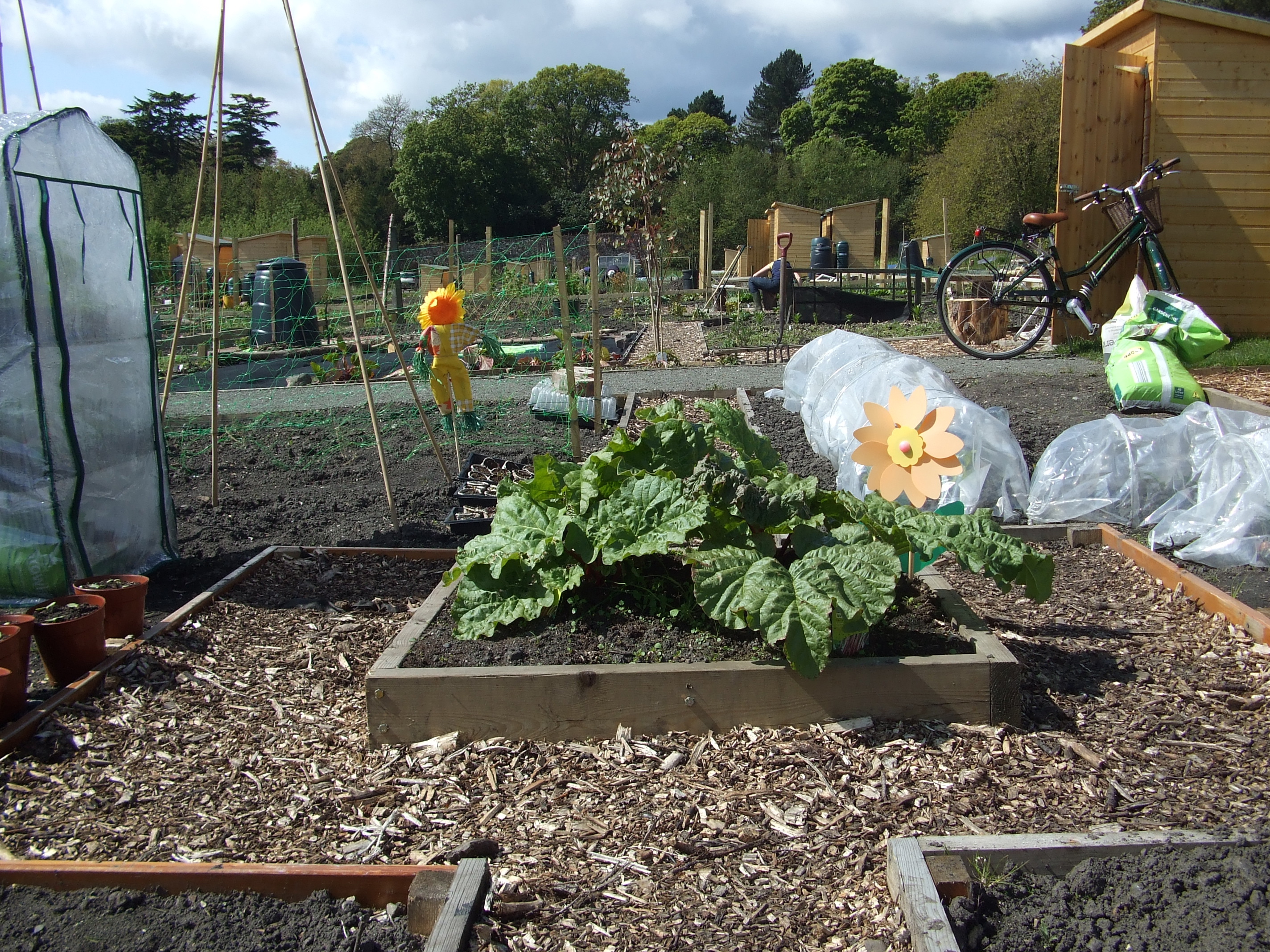 2023-ravenscraig-gardens-4.jpg
