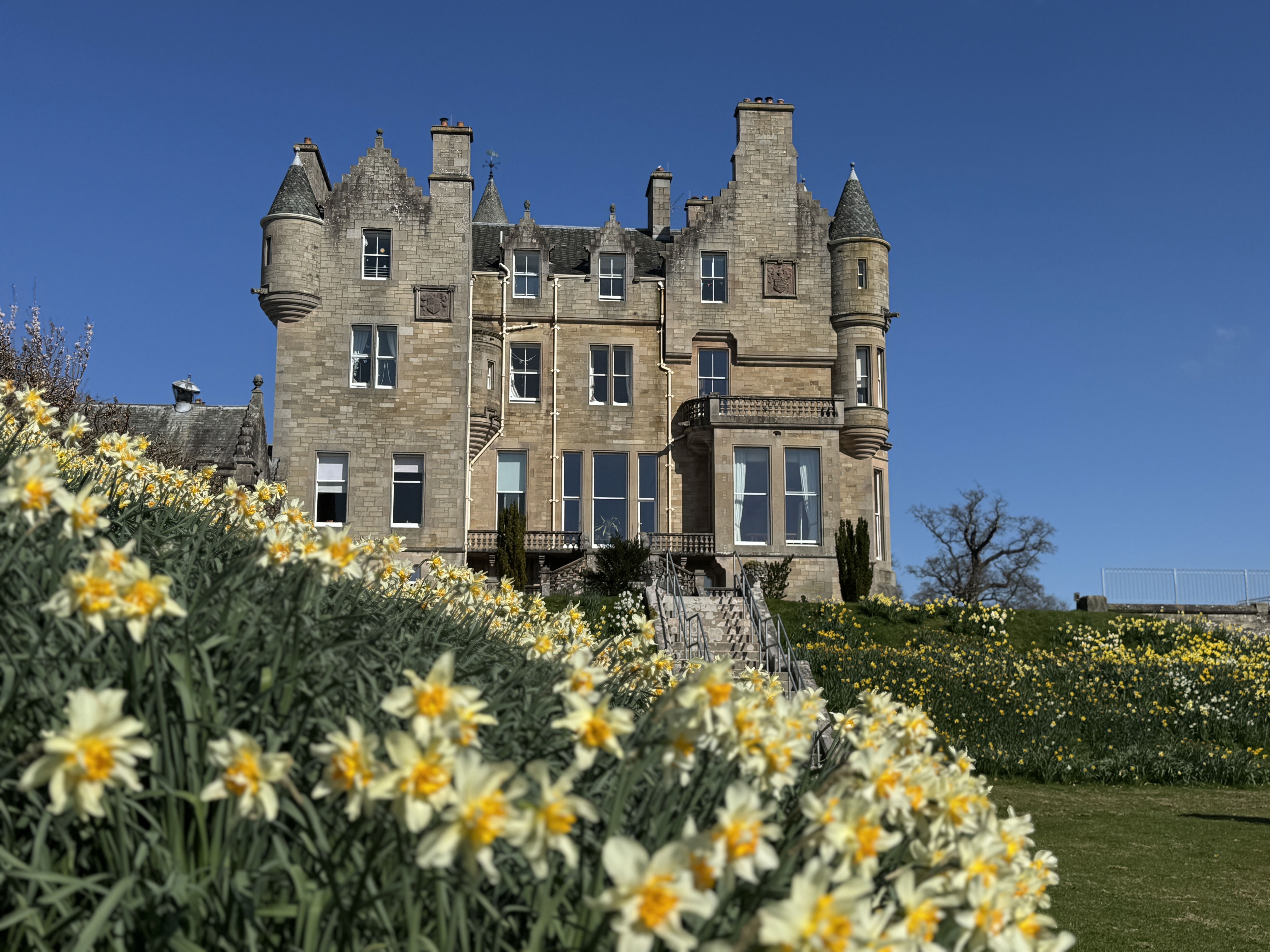 Camphill Blair Drummond Spring Flowers 2
