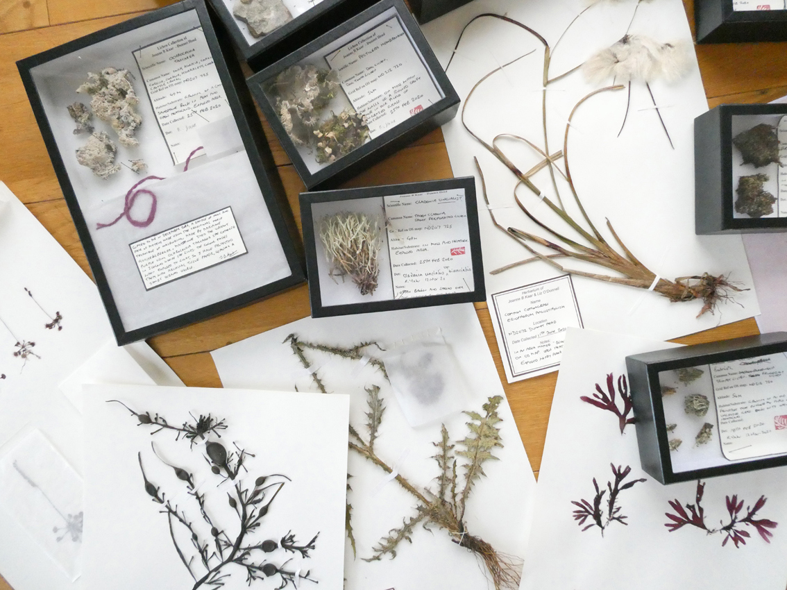 Strathnaver Fantastical Flora Workshop Strathnaver Museum 23