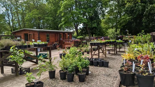 Picture of Hope Organic Garden