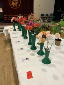 Picture of Paisley Florist Society Gardening Club