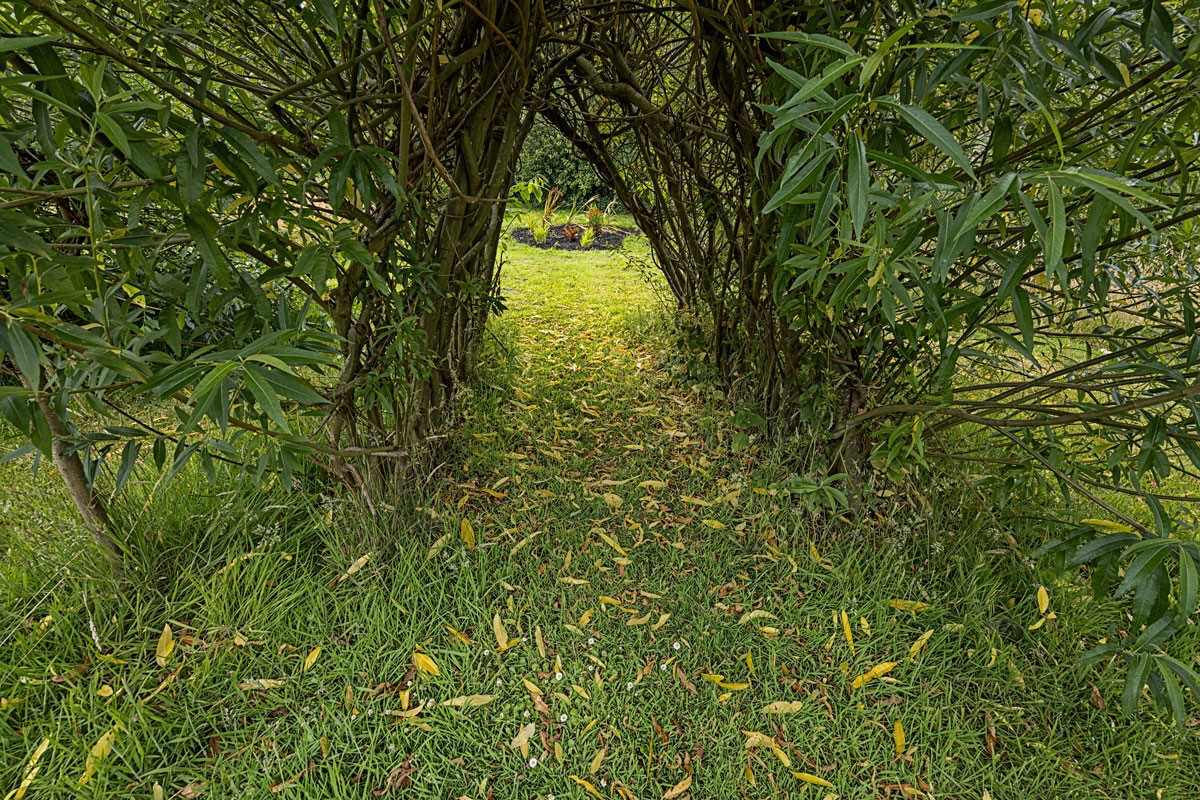 2023-ravenscraig-gardens-1.jpg