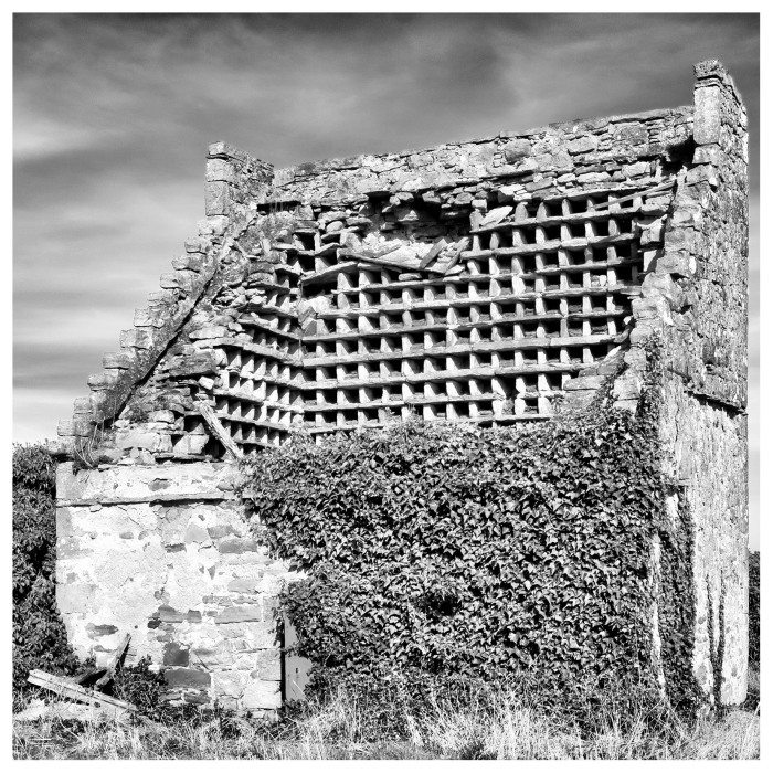 2023-boarhills-doocot-1.jpg