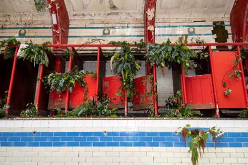 Floral takeover of the Govanhill Baths