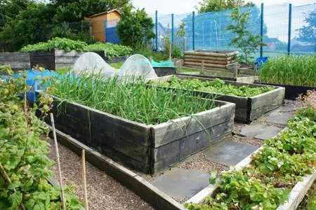 Picture of Paisley - Brediland Allotments