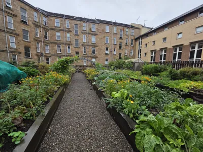 Picture of G3 Growers Community Garden