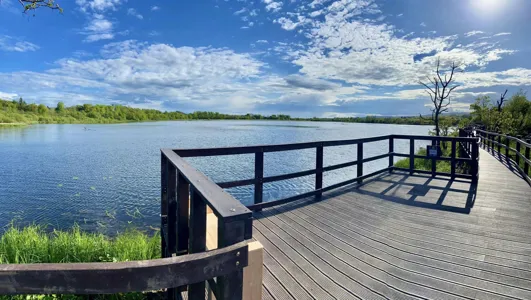 Picture of Lochwinnoch - RSPB Lochwinnoch Nature Reserve