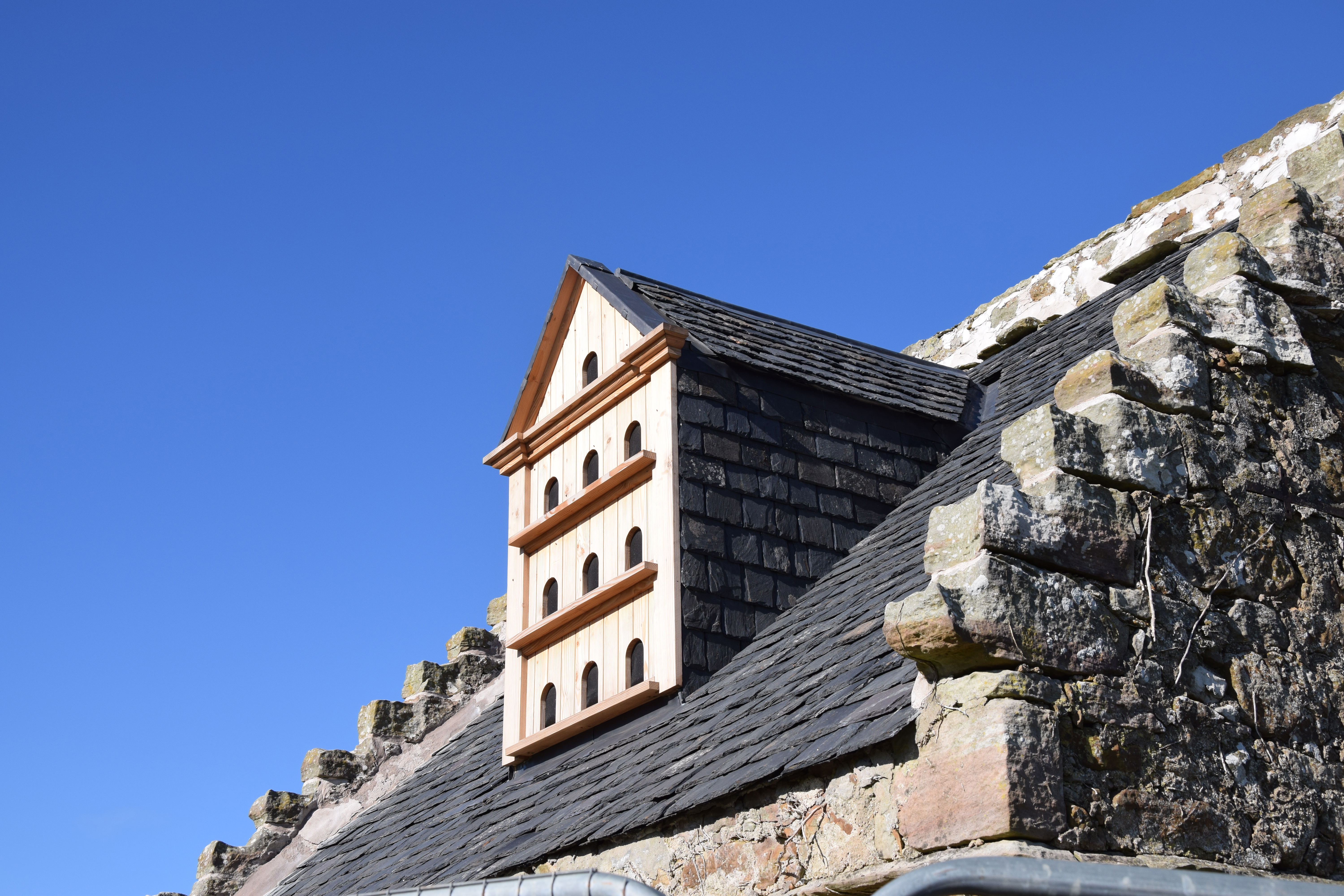 2023-boarhills-doocot-8.jpg