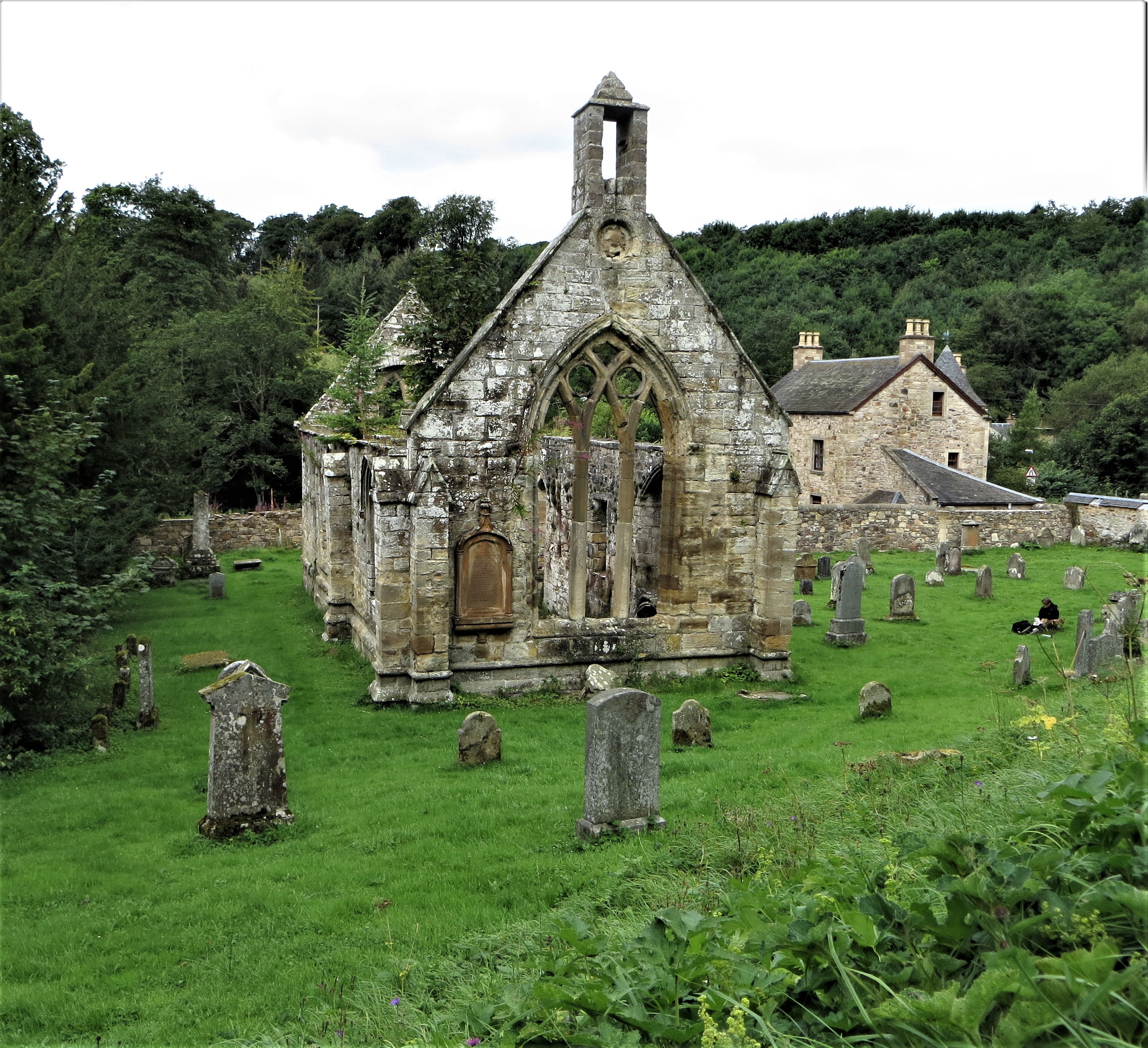 IMG 9517 (3)
