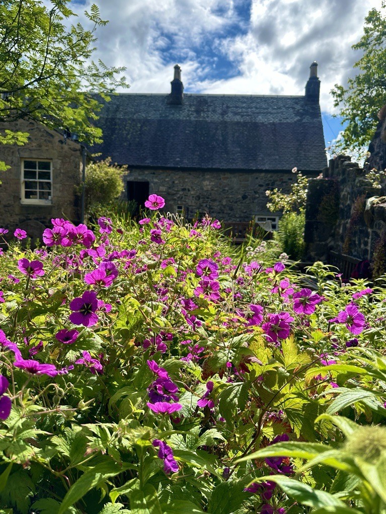 Weavers Garden