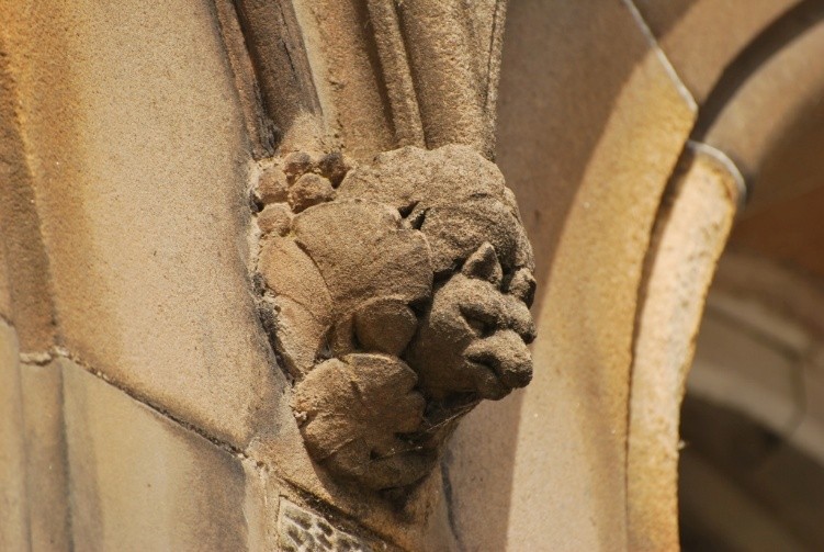 Picture2