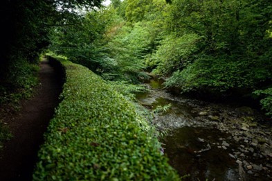 Dean Gardens 1