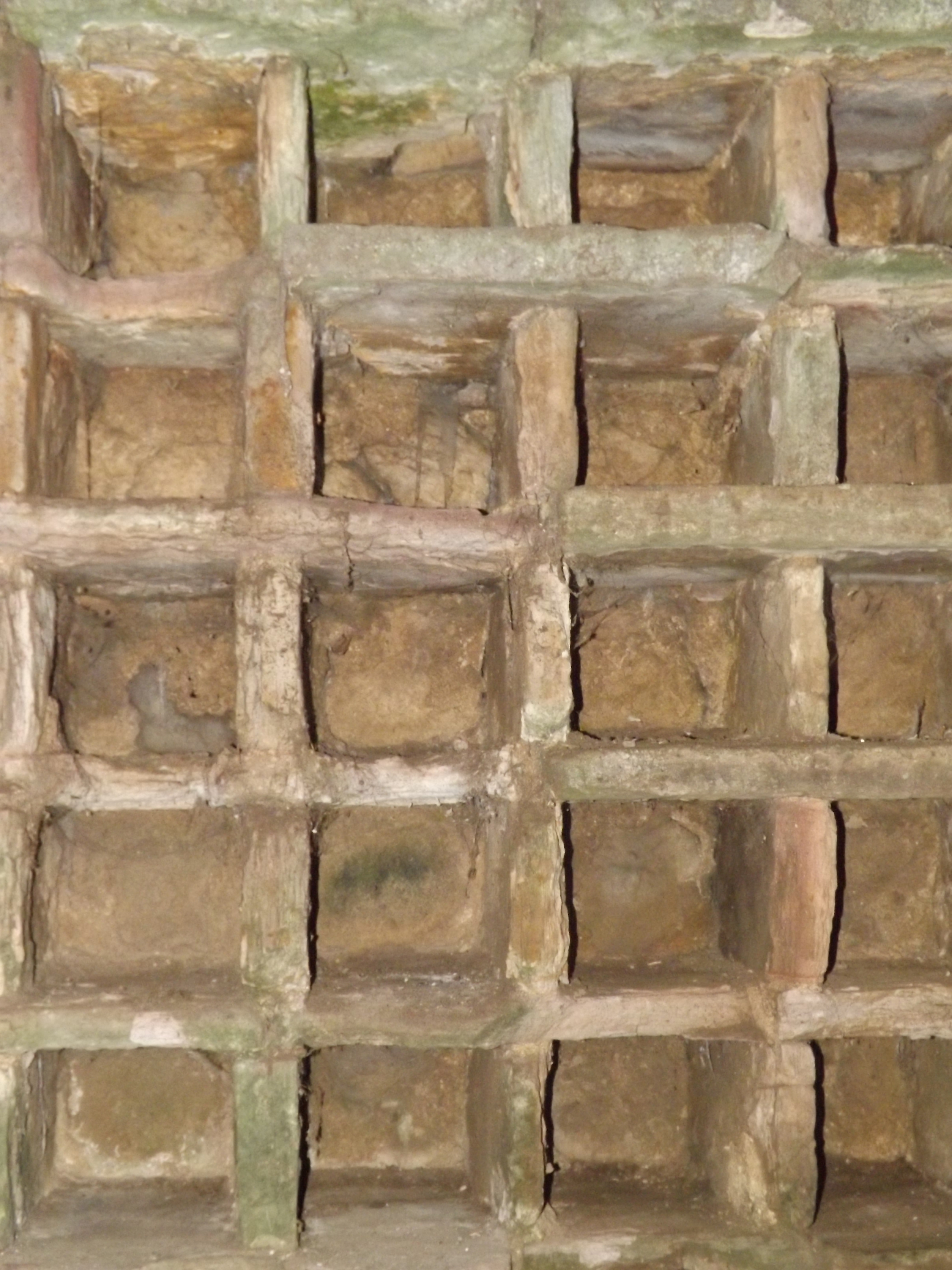 2024 ~ Boarhills Doocot 2