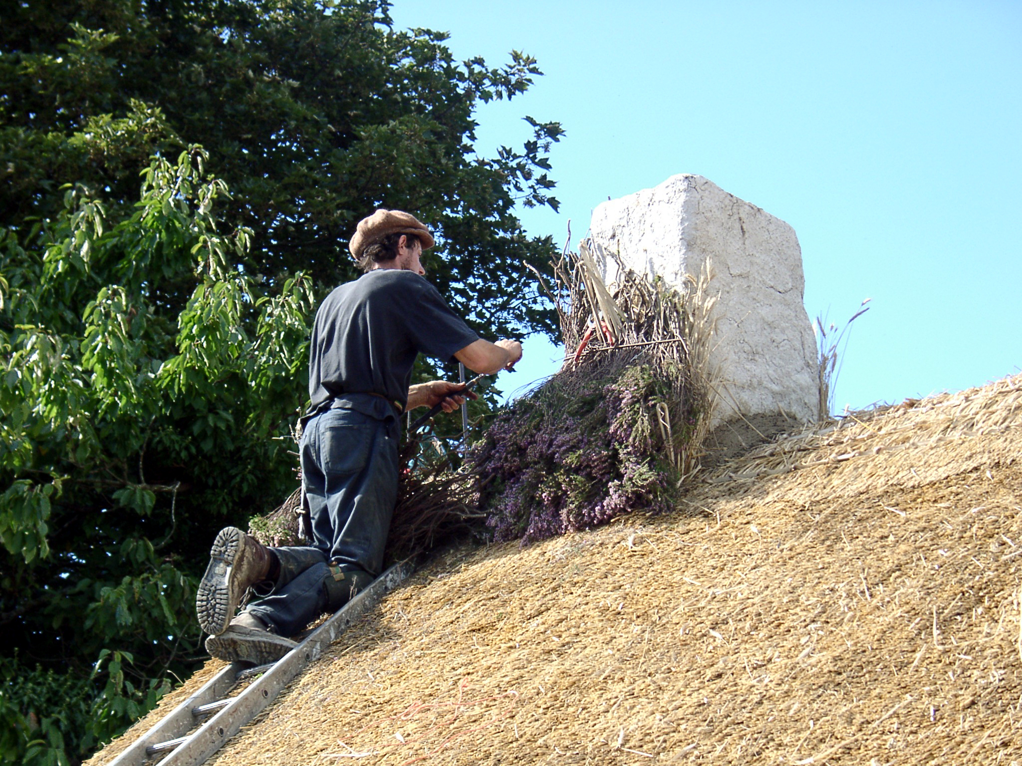 Cruck Thatching 239