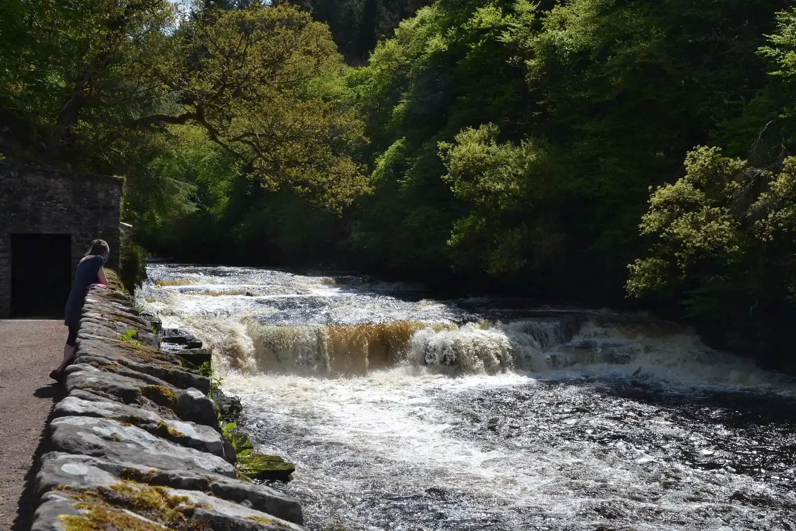 Dundaff Linn
