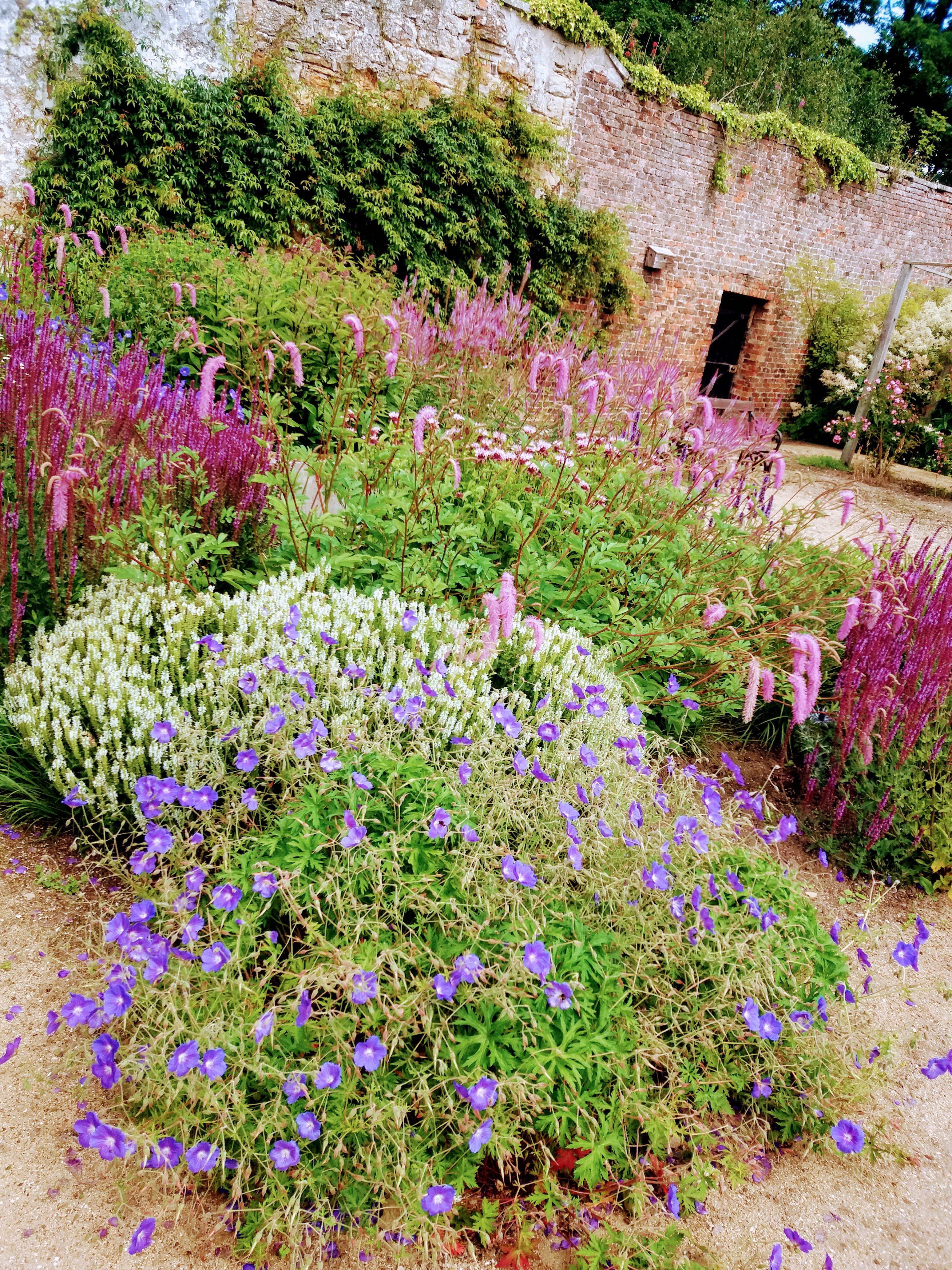 2023-cambo-gardens-1.jpg