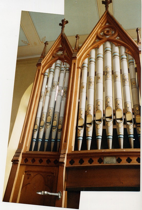 Organ