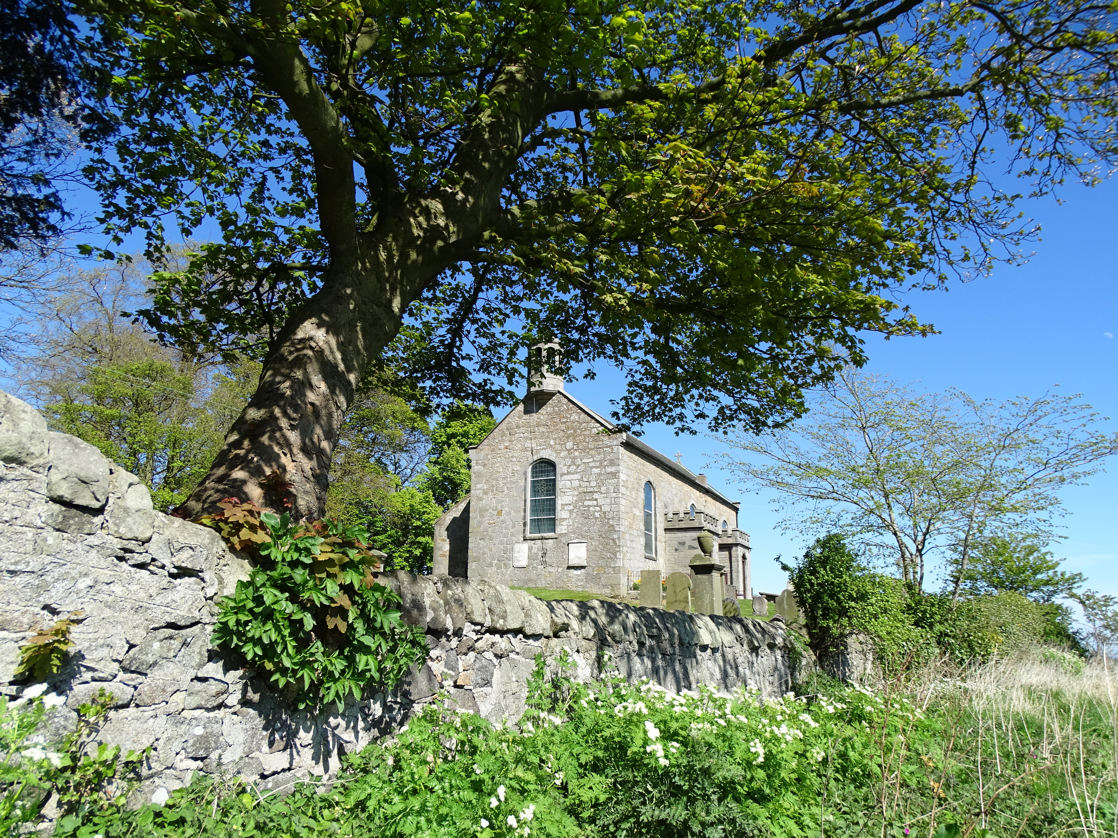 2018-auchtertool-kirk.jpg