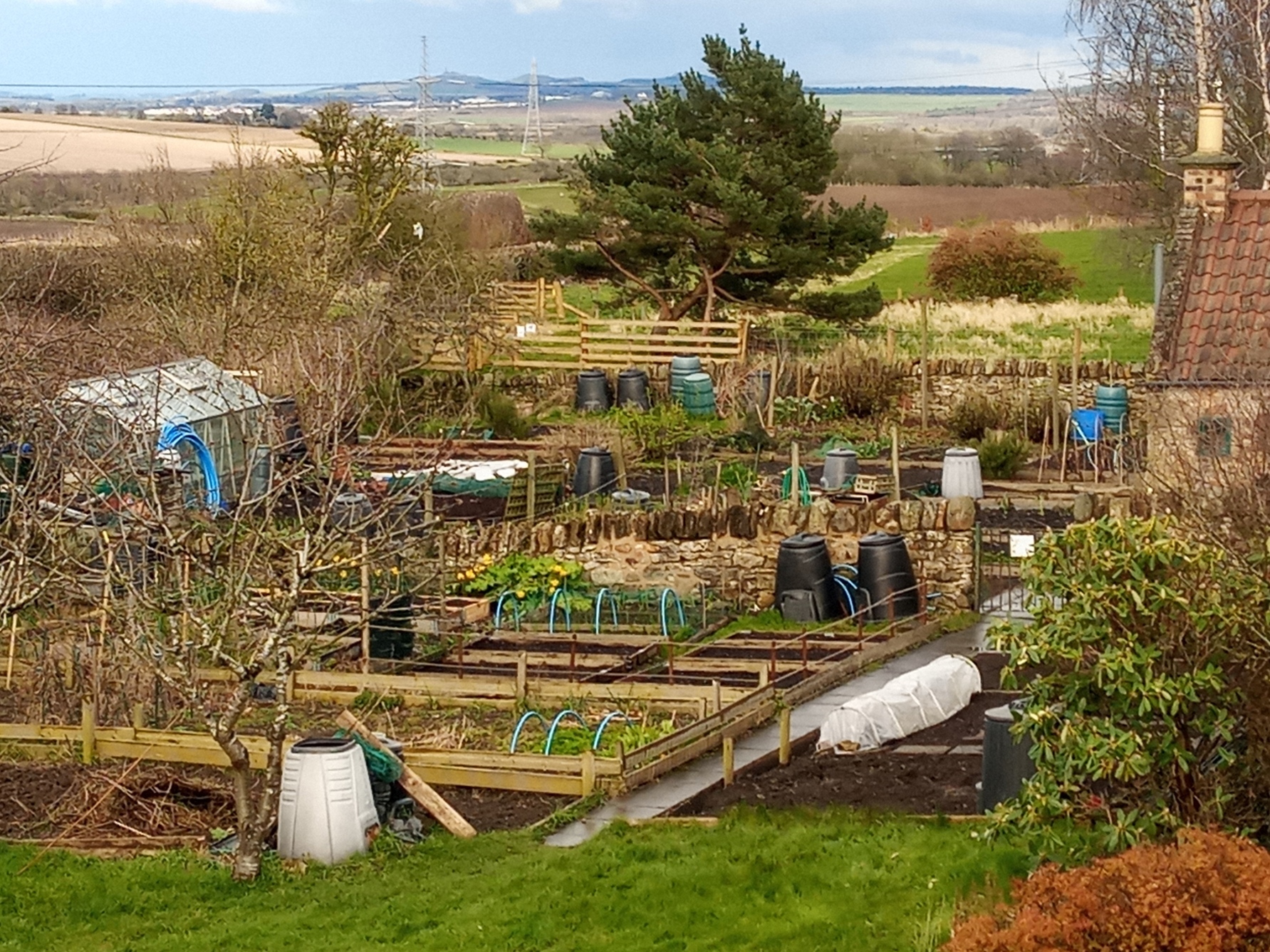Organic Allotments